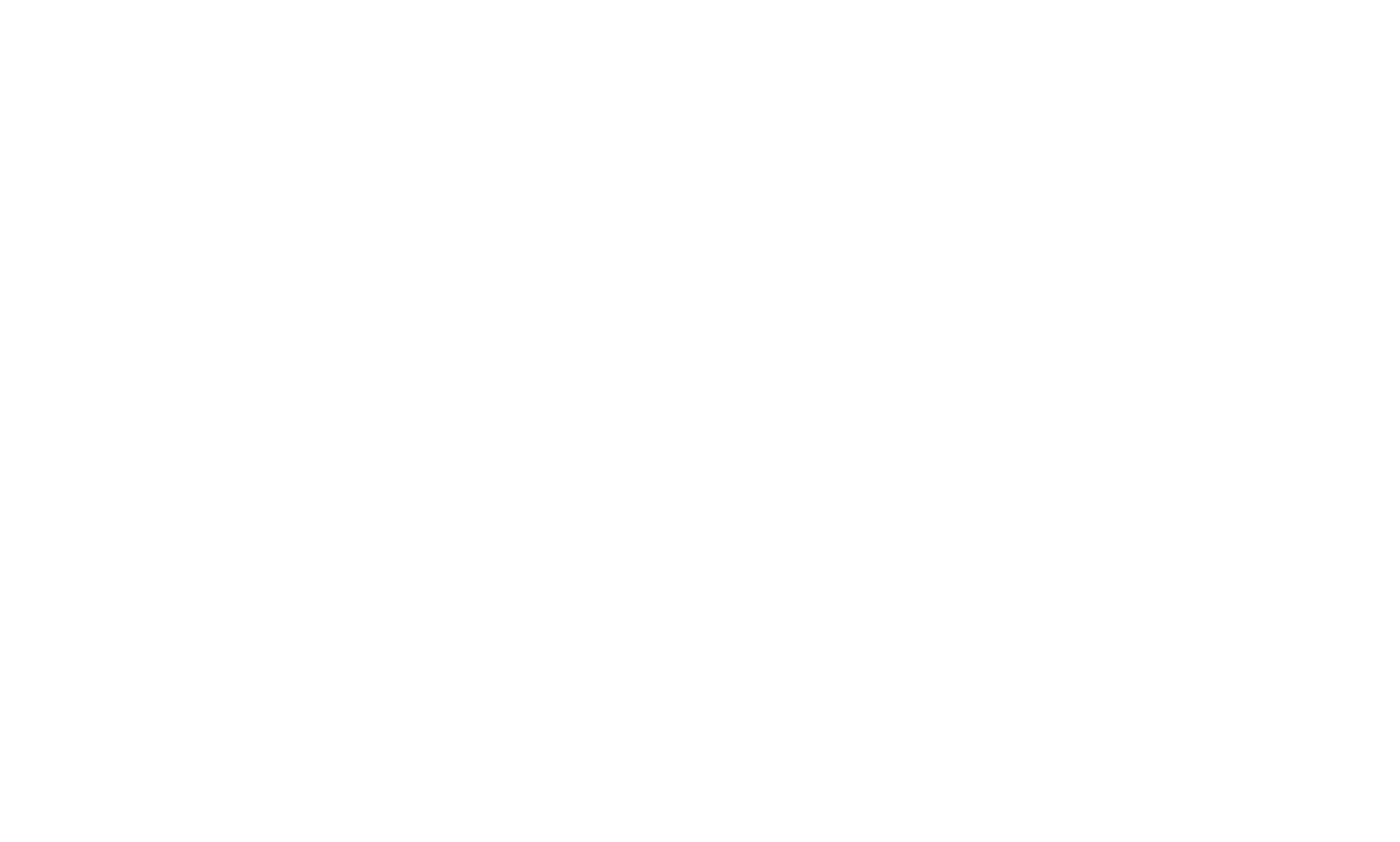 areva_logo-weiß